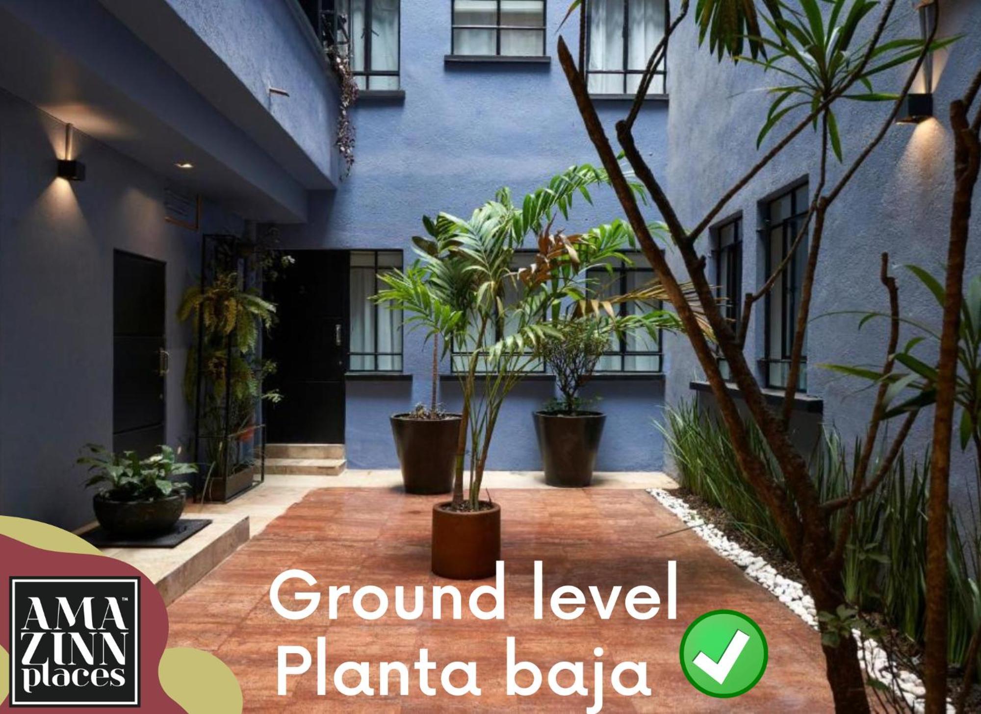 Amazinn Places La Condesa Roma Мехико Экстерьер фото